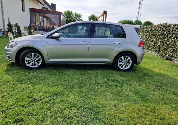 Volkswagen Golf cena 72000 przebieg: 32000, rok produkcji 2017 z Ciechanowiec małe 742